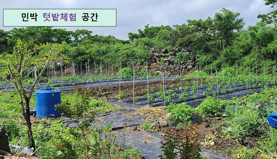 유기농 텃밭 체험 공간